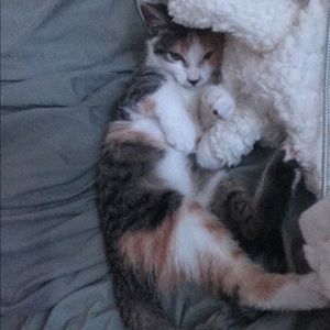 Meet your Posher, Lily